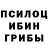Псилоцибиновые грибы Magic Shrooms musaeva. 007