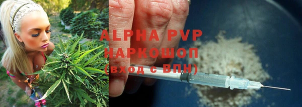 молекула духа Беломорск