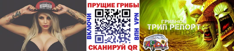 цена наркотик  Йошкар-Ола  Галлюциногенные грибы прущие грибы 